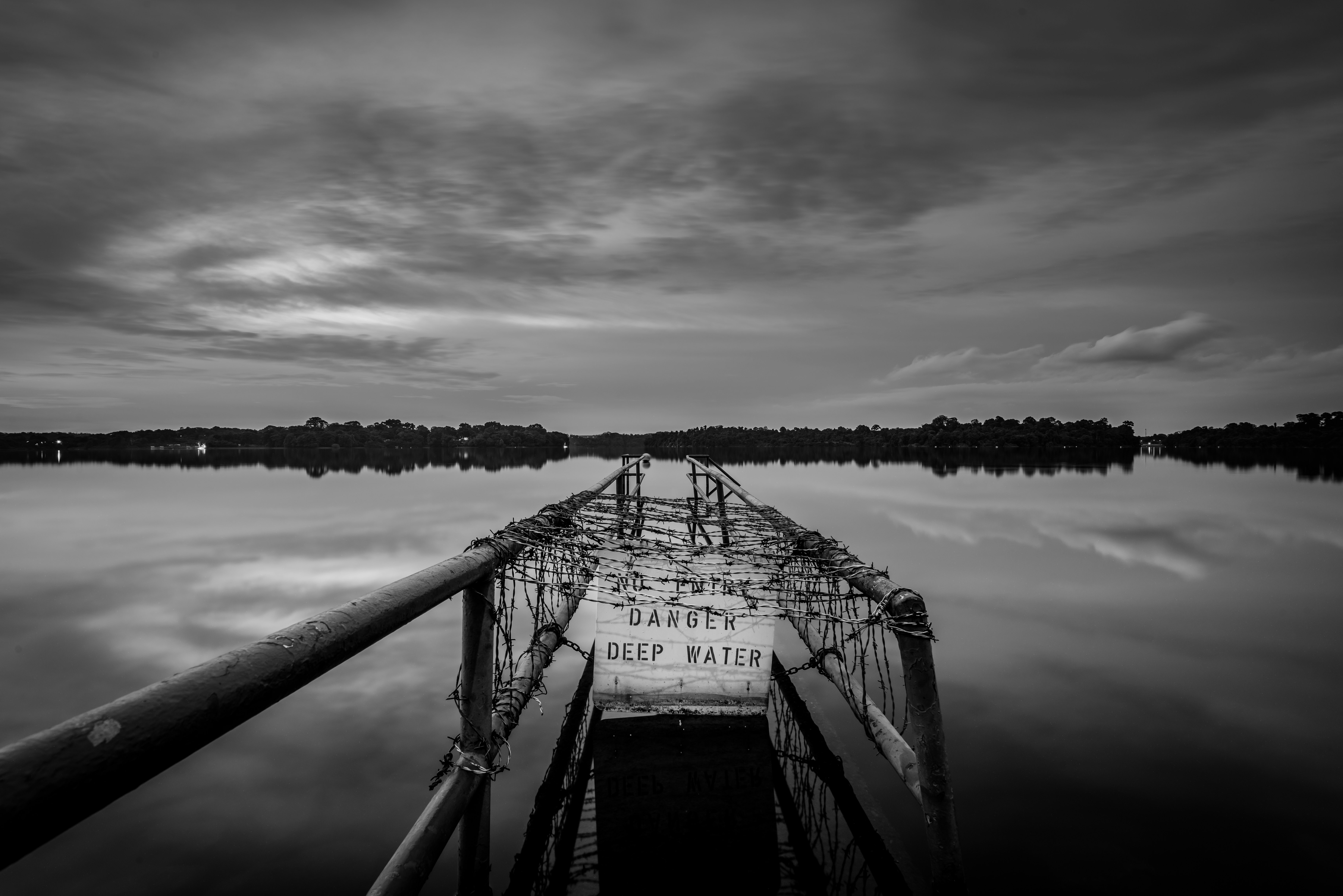 grayscale photography of dock far from trees